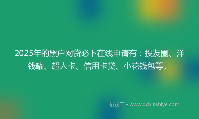 2025年的黑户网贷必下在线申请有：投友圈、洋钱罐、超人卡、信用卡贷、小花钱包等。
