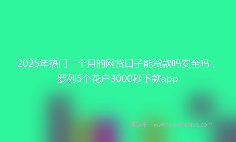2025年热门一个月的网贷口子能贷款吗安全吗，罗列5个花户3000秒下款app