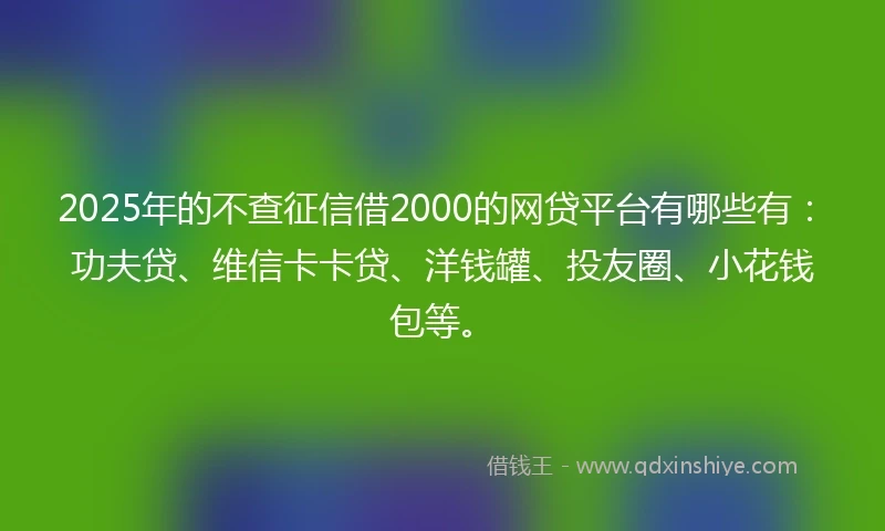 2025年的不查征信借2000的网贷平台有哪些有：功夫贷、维信卡卡贷、洋钱罐、投友圈、小花钱包等。