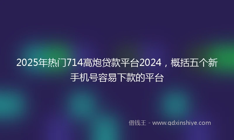 2025年热门714高炮贷款平台2024，概括五个新手机号容易下款的平台