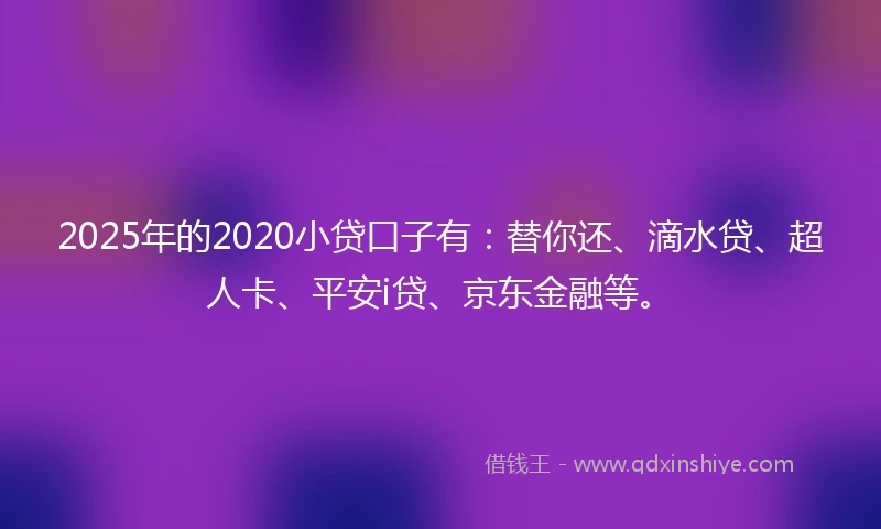 2025年的2020小贷口子有：替你还、滴水贷、超人卡、平安i贷、京东金融等。