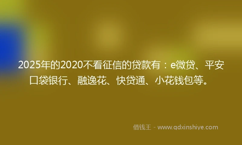 2025年的2020不看征信的贷款有：e微贷、平安口袋银行、融逸花、快贷通、小花钱包等。