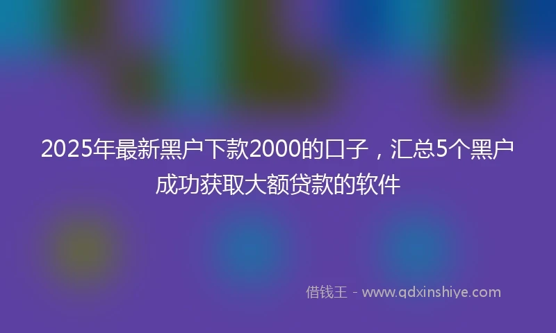 2025年最新黑户下款2000的口子，汇总5个黑户成功获取大额贷款的软件