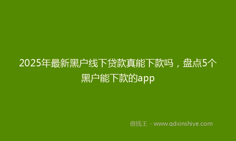 2025年最新黑户线下贷款真能下款吗，盘点5个黑户能下款的app