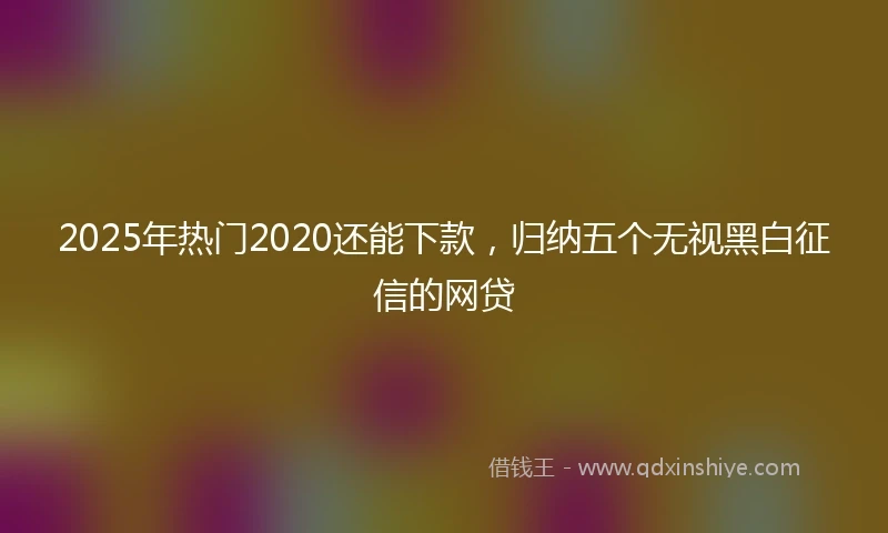 2025年热门2020还能下款，归纳五个无视黑白征信的网贷