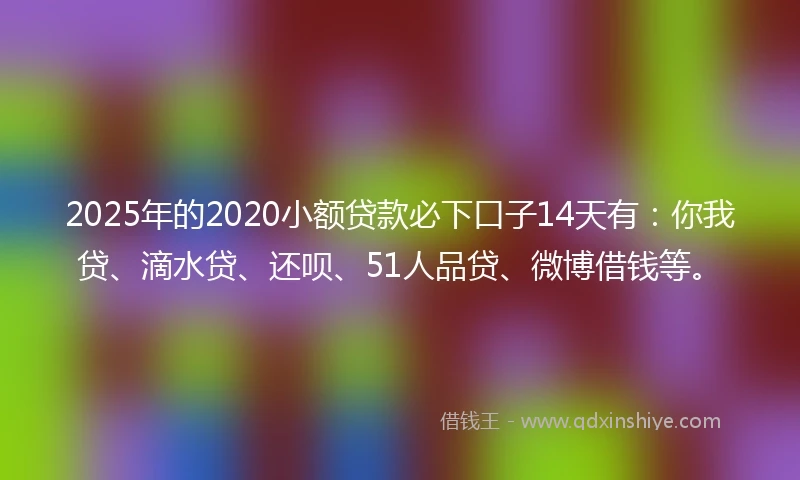 2025年的2020小额贷款必下口子14天有：你我贷、滴水贷、还呗、51人品贷、微博借钱等。