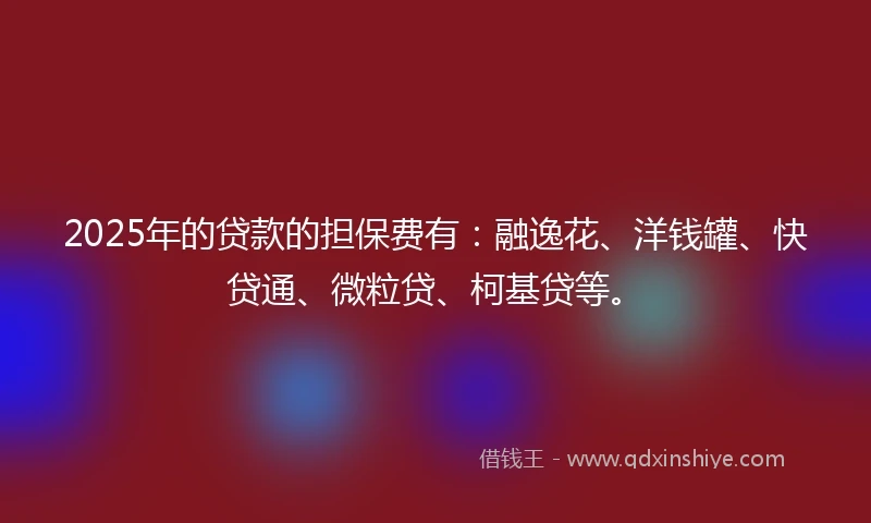 2025年的贷款的担保费有：融逸花、洋钱罐、快贷通、微粒贷、柯基贷等。