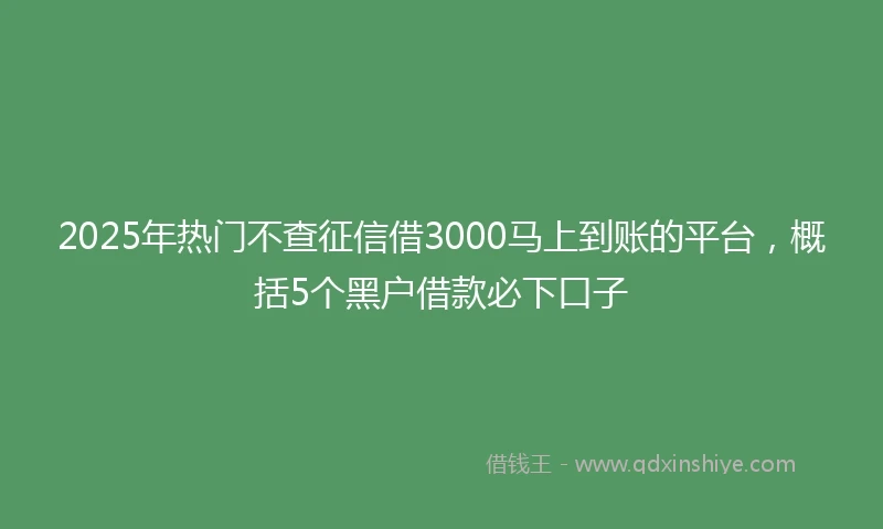 2025年热门不查征信借3000马上到账的平台，概括5个黑户借款必下口子
