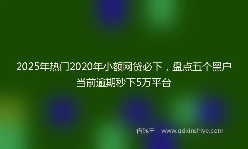 2025年热门2020年小额网贷必下，盘点五个黑户当前逾期秒下5万平台
