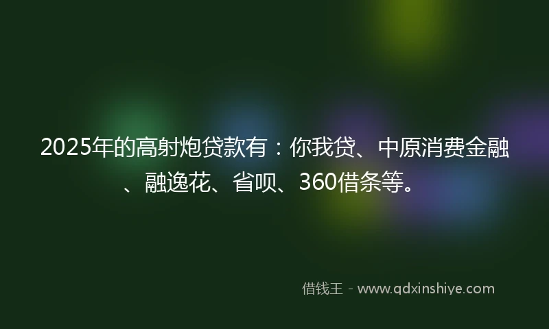 2025年的高射炮贷款有：你我贷、中原消费金融、融逸花、省呗、360借条等。