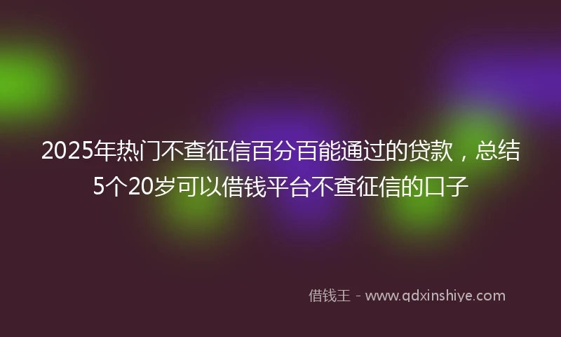 2025年热门不查征信百分百能通过的贷款，总结5个20岁可以借钱平台不查征信的口子