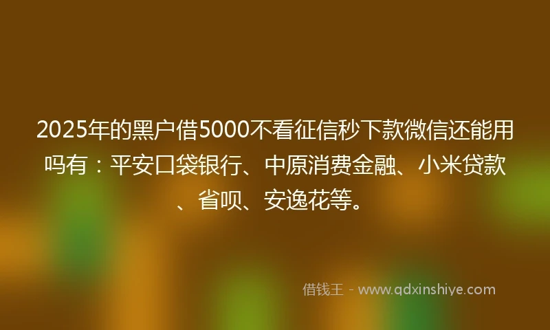 2025年的黑户借5000不看征信秒下款微信还能用吗有：平安口袋银行、中原消费金融、小米贷款、省呗、安逸花等。