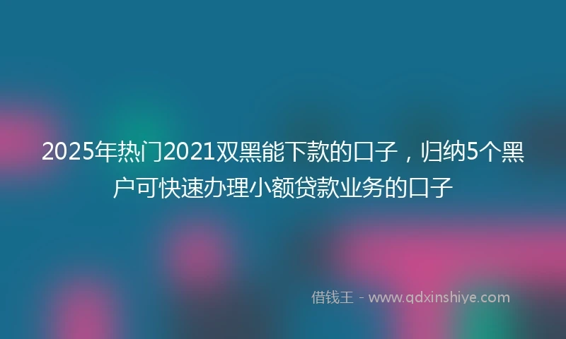 2025年热门2021双黑能下款的口子，归纳5个黑户可快速办理小额贷款业务的口子