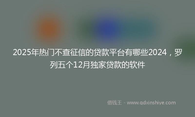 2025年热门不查征信的贷款平台有哪些2024，罗列五个12月独家贷款的软件