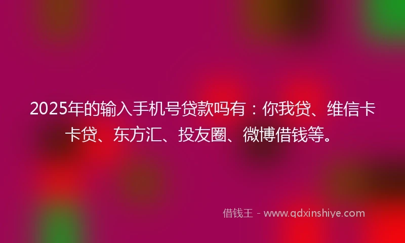 2025年的输入手机号贷款吗有：你我贷、维信卡卡贷、东方汇、投友圈、微博借钱等。
