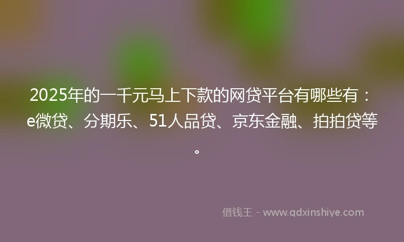 2025年的一千元马上下款的网贷平台有哪些有：e微贷、分期乐、51人品贷、京东金融、拍拍贷等。