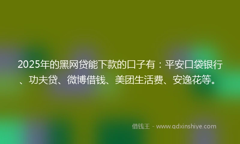 2025年的黑网贷能下款的口子有：平安口袋银行、功夫贷、微博借钱、美团生活费、安逸花等。