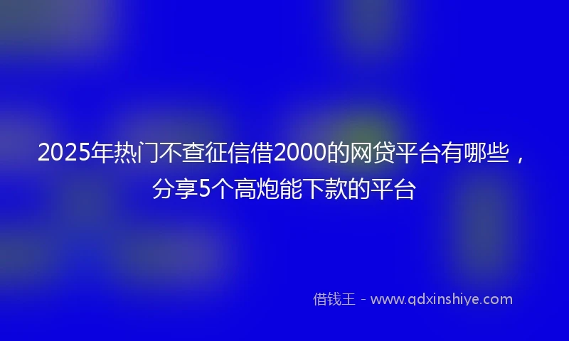 2025年热门不查征信借2000的网贷平台有哪些，分享5个高炮能下款的平台