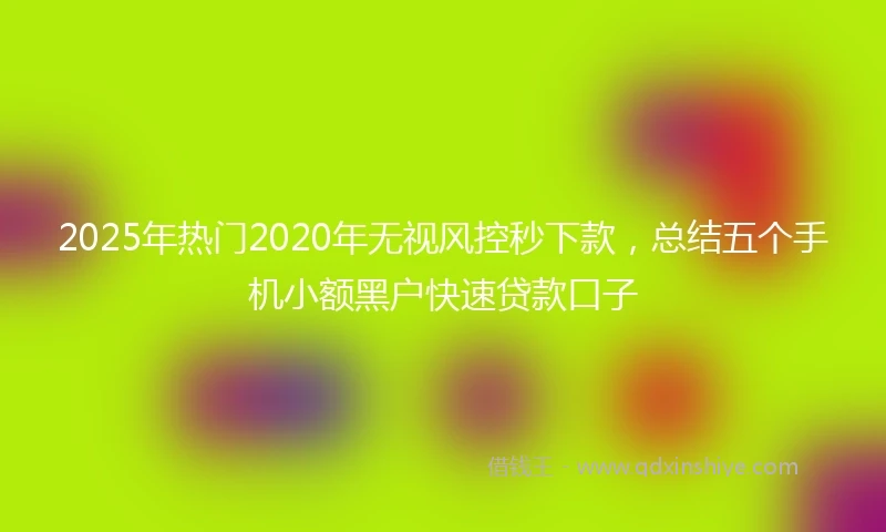 2025年热门2020年无视风控秒下款，总结五个手机小额黑户快速贷款口子