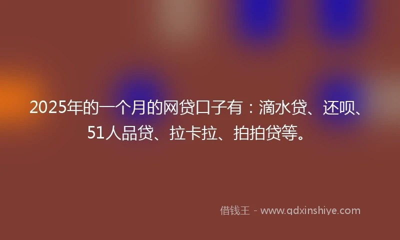 2025年的一个月的网贷口子有：滴水贷、还呗、51人品贷、拉卡拉、拍拍贷等。
