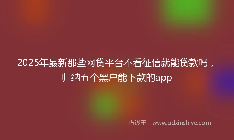 2025年最新那些网贷平台不看征信就能贷款吗，归纳五个黑户能下款的app