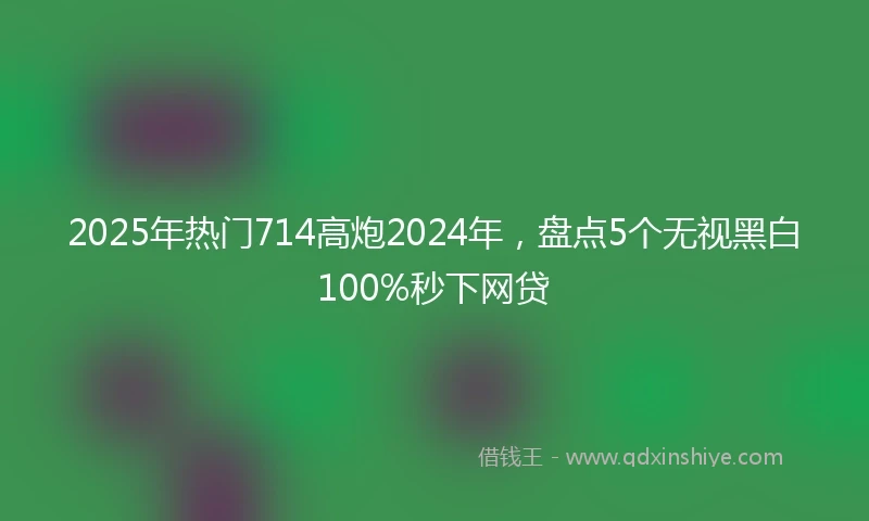 2025年热门714高炮2024年，盘点5个无视黑白100%秒下网贷
