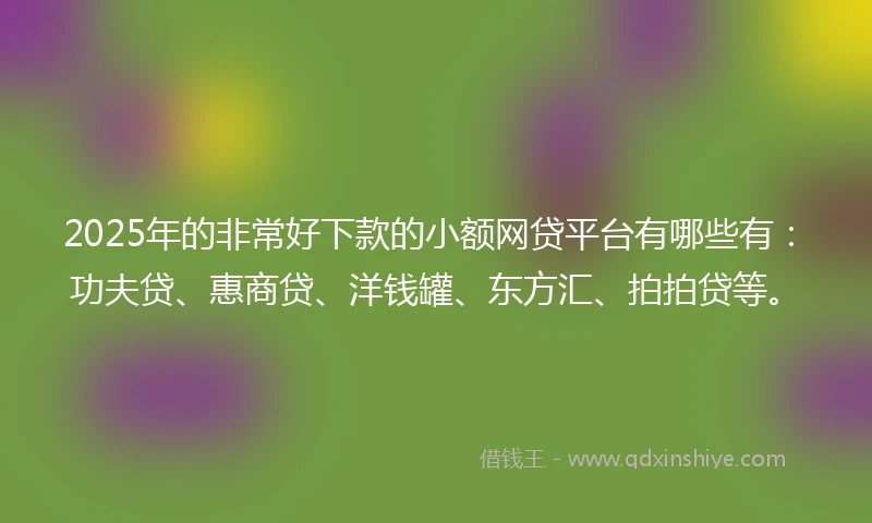 2025年的非常好下款的小额网贷平台有哪些有：功夫贷、惠商贷、洋钱罐、东方汇、拍拍贷等。