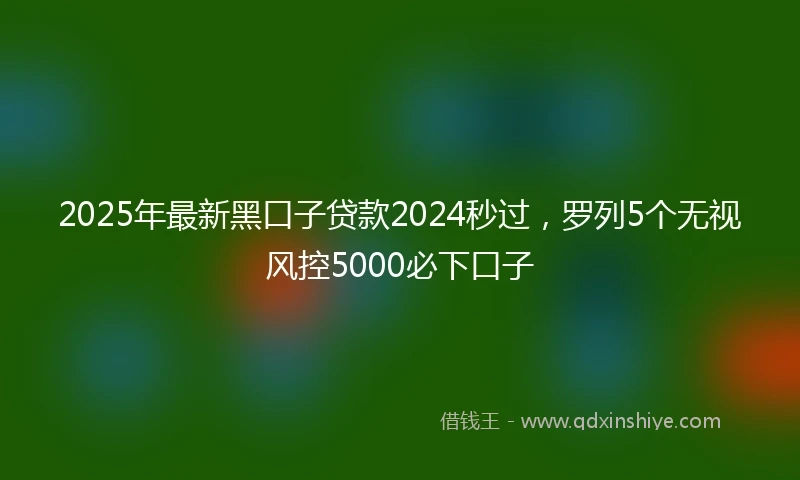 2025年最新黑口子贷款2024秒过，罗列5个无视风控5000必下口子