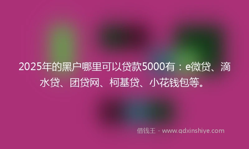 2025年的黑户哪里可以贷款5000有：e微贷、滴水贷、团贷网、柯基贷、小花钱包等。