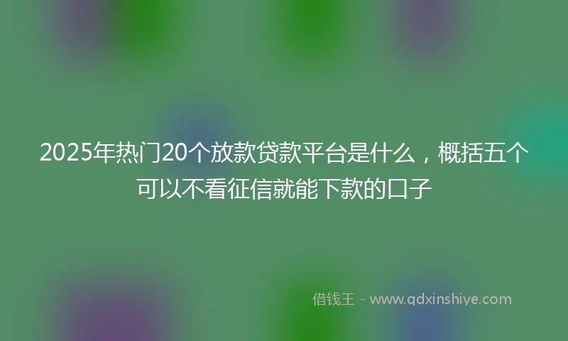 2025年热门20个放款贷款平台是什么，概括五个可以不看征信就能下款的口子