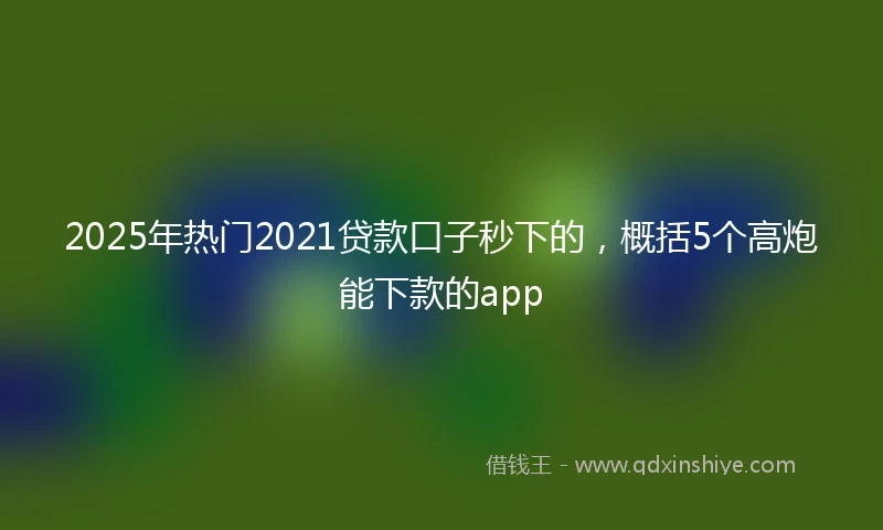 2025年热门2021贷款口子秒下的，概括5个高炮能下款的app
