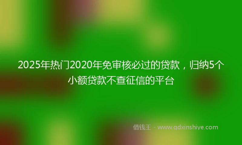 2025年热门2020年免审核必过的贷款，归纳5个小额贷款不查征信的平台