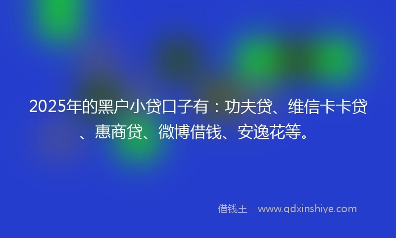 2025年的黑户小贷口子有：功夫贷、维信卡卡贷、惠商贷、微博借钱、安逸花等。