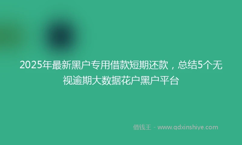2025年最新黑户专用借款短期还款，总结5个无视逾期大数据花户黑户平台