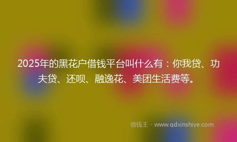2025年的黑花户借钱平台叫什么有：你我贷、功夫贷、还呗、融逸花、美团生活费等。