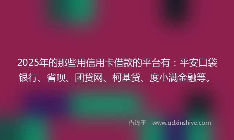 2025年的那些用信用卡借款的平台有：平安口袋银行、省呗、团贷网、柯基贷、度小满金融等。