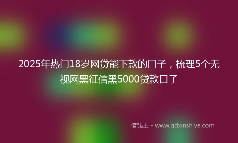 2025年热门18岁网贷能下款的口子，梳理5个无视网黑征信黑5000贷款口子