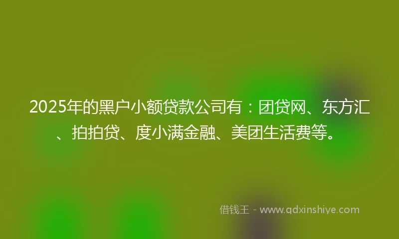 2025年的黑户小额贷款公司有：团贷网、东方汇、拍拍贷、度小满金融、美团生活费等。