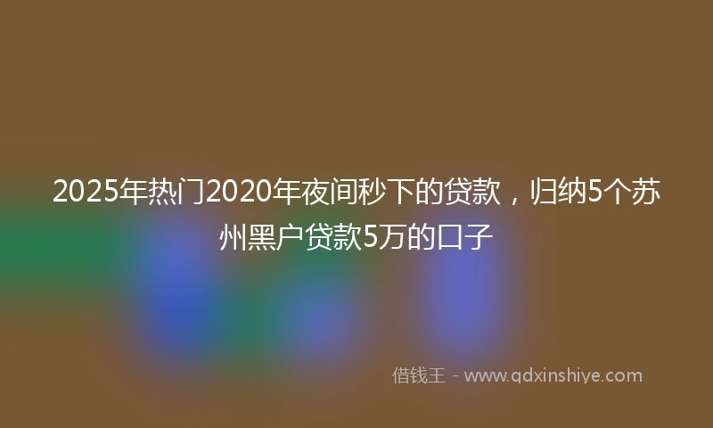 2025年热门2020年夜间秒下的贷款，归纳5个苏州黑户贷款5万的口子