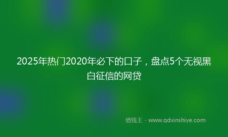 2025年热门2020年必下的口子，盘点5个无视黑白征信的网贷