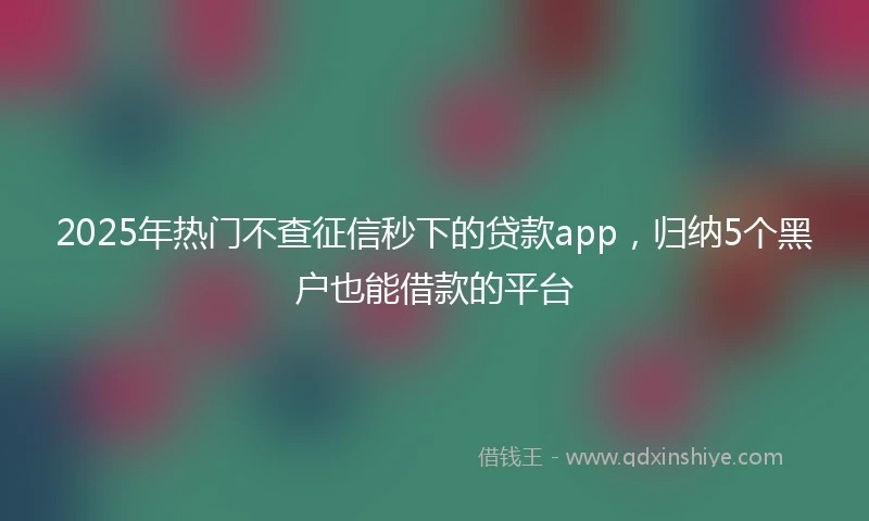 2025年热门不查征信秒下的贷款app，归纳5个黑户也能借款的平台