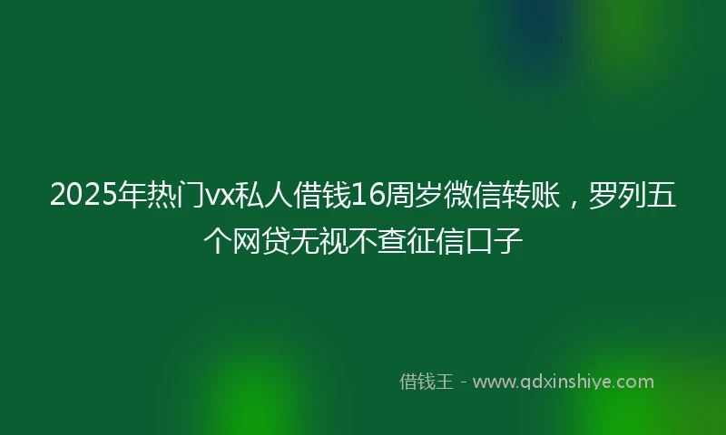 2025年热门vx私人借钱16周岁微信转账，罗列五个网贷无视不查征信口子