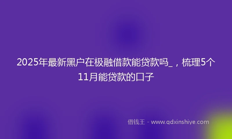2025年最新黑户在极融借款能贷款吗_，梳理5个11月能贷款的口子