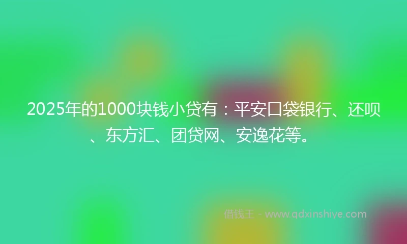 2025年的1000块钱小贷有：平安口袋银行、还呗、东方汇、团贷网、安逸花等。
