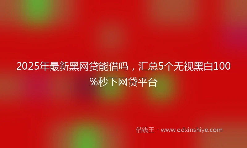 2025年最新黑网贷能借吗，汇总5个无视黑白100%秒下网贷平台