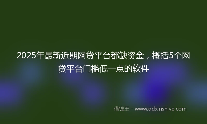 2025年最新近期网贷平台都缺资金，概括5个网贷平台门槛低一点的软件