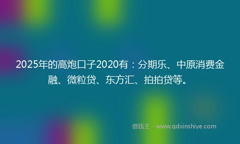 2025年的高炮口子2020有：分期乐、中原消费金融、微粒贷、东方汇、拍拍贷等。