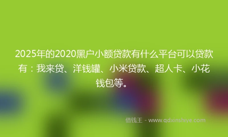 2025年的2020黑户小额贷款有什么平台可以贷款有：我来贷、洋钱罐、小米贷款、超人卡、小花钱包等。