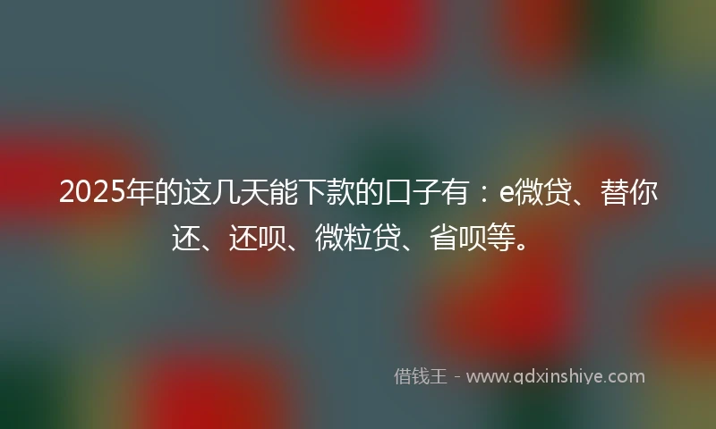 2025年的这几天能下款的口子有：e微贷、替你还、还呗、微粒贷、省呗等。