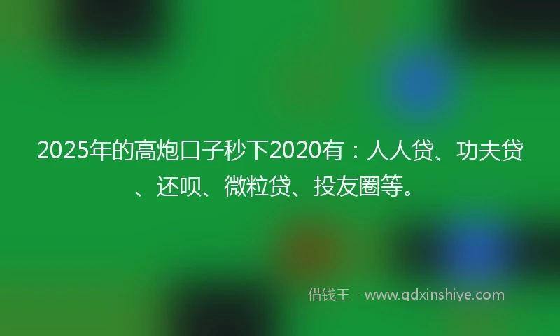 2025年的高炮口子秒下2020有：人人贷、功夫贷、还呗、微粒贷、投友圈等。